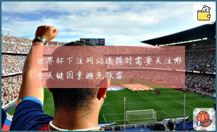世界杯下注网站选择时需要关注哪些关键因素避免踩雷