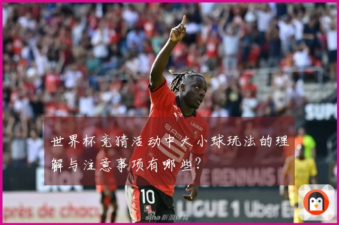 世界杯竞猜活动中大小球玩法的理解与注意事项有哪些？